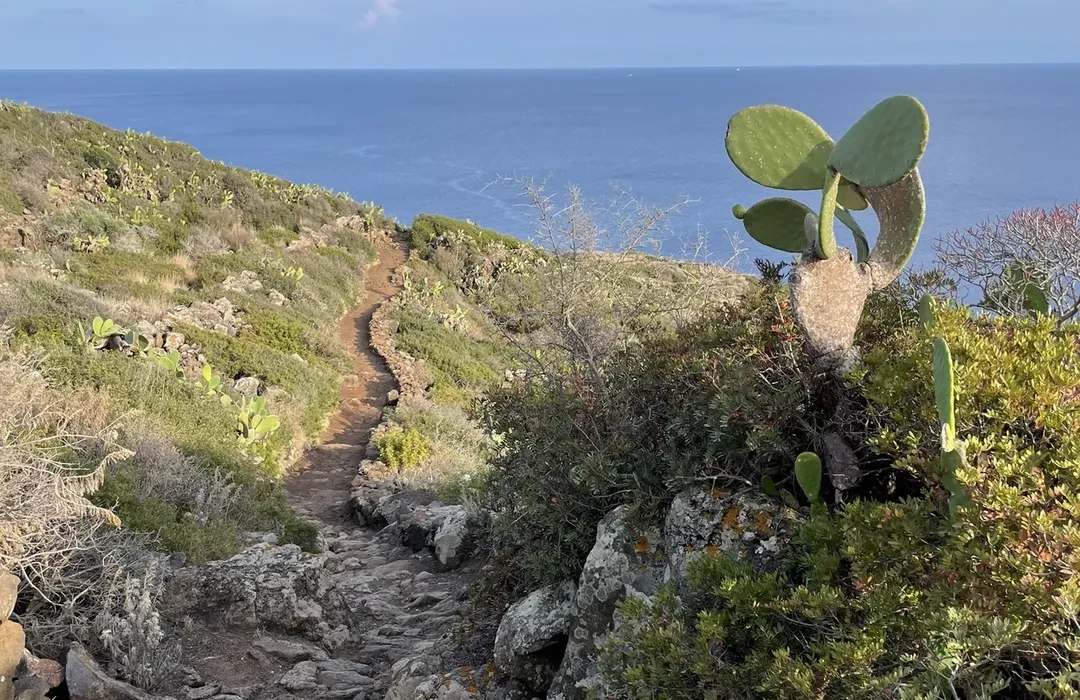 Sentiero panoramico nella natura di Ustica